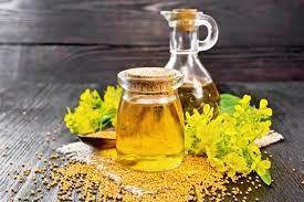 Premium Canola Oil, 100% Pure Cold-pressed