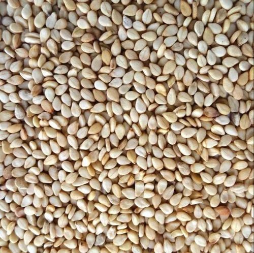 Sesame Seed Organic-Premium Quality
