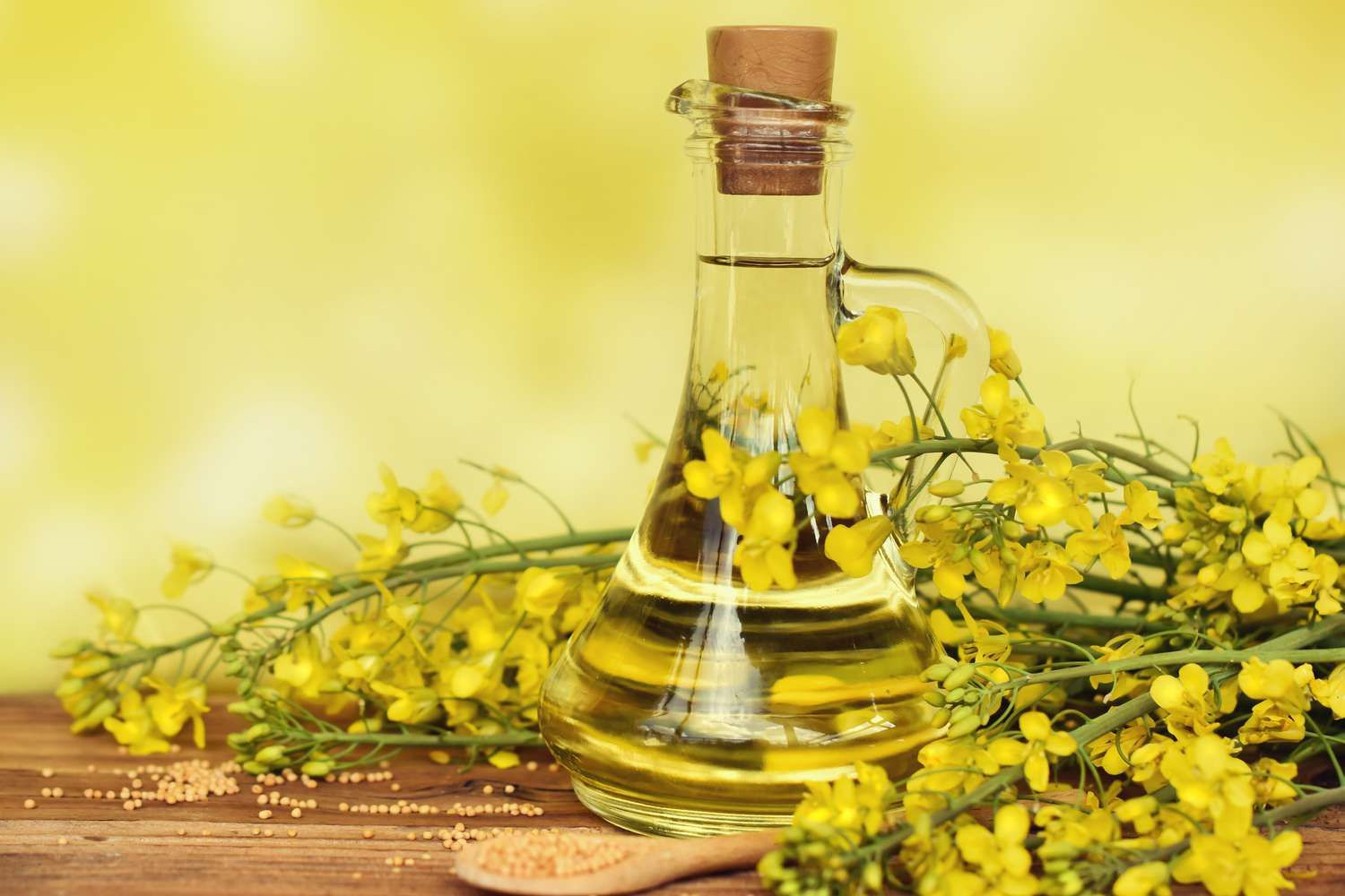 Premium Canola Oil, 100% Pure Cold-pressed