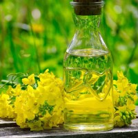 Premium Canola Oil, 100% Pure Cold-pressed