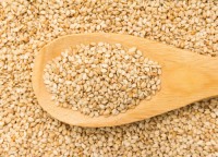 Sesame Seed Organic-Premium Quality